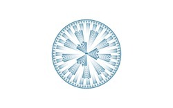 2014 06 05 Lies and Myths 02-white.jpg